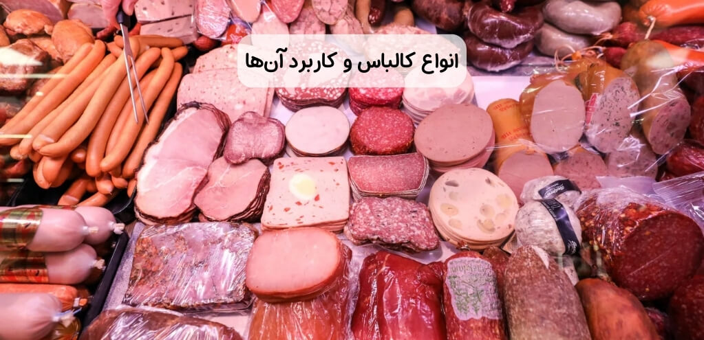 معرفی کامل انواع کالباس؛ از گوشت قرمز تا گیاهی + کاربردها